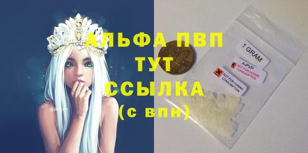 СК Белокуриха