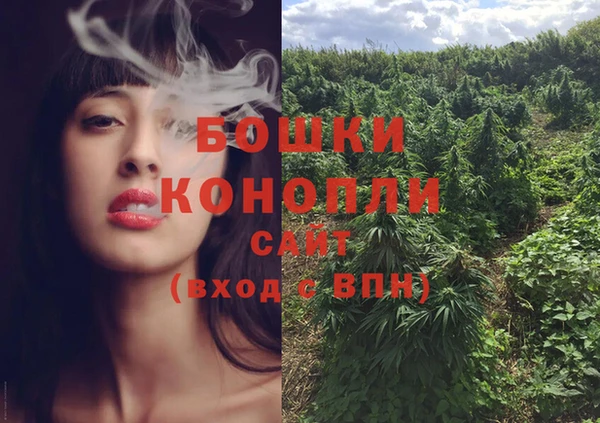 СК Белокуриха