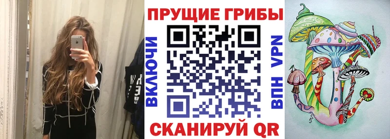 сколько стоит  Назарово  Псилоцибиновые грибы MAGIC MUSHROOMS 